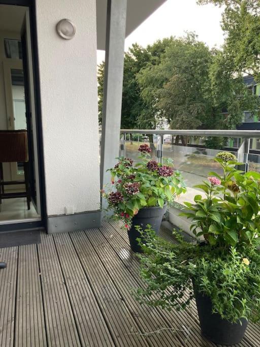 פרכן Ferienwohnung In Der Naehe Von Koeln מראה חיצוני תמונה